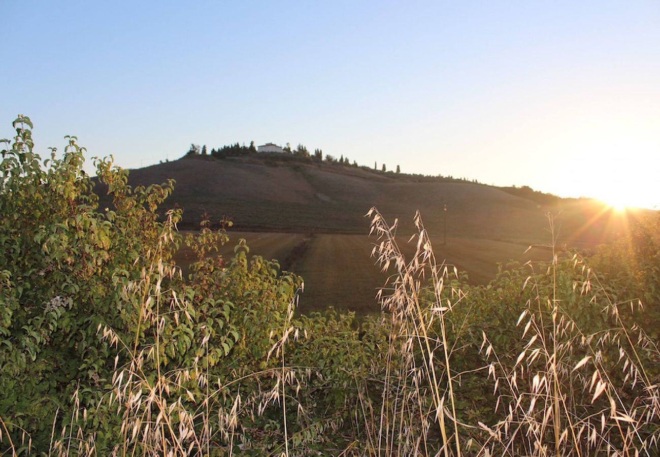 Villa in Certaldo - Spectacular villa with view