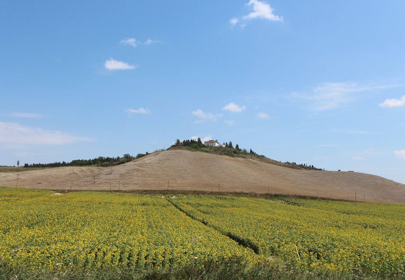 Villa in Certaldo - Spectacular villa with view