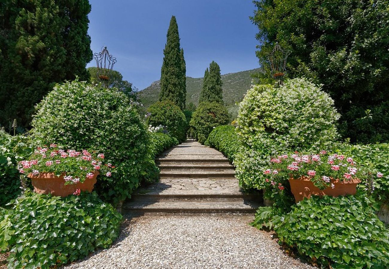 Villa in Lucca - Historical Villa Daniela in the countryside
