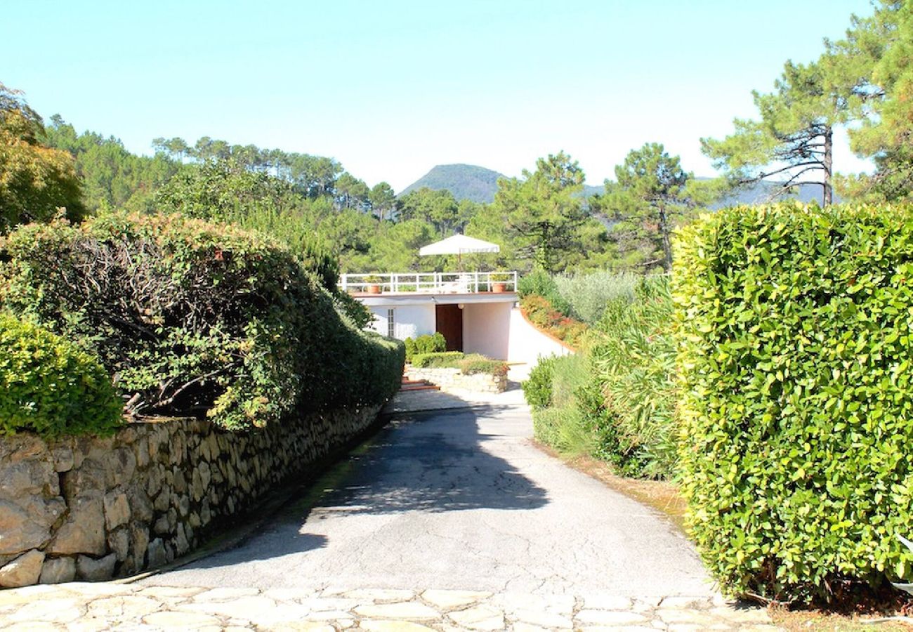 House in Capannori - Villa Parole d´Oro