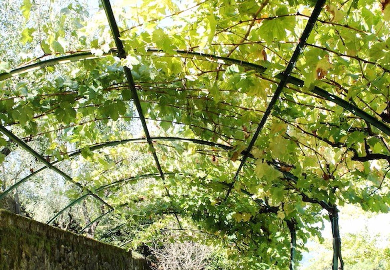 House in Capannori - Villa Parole d´Oro