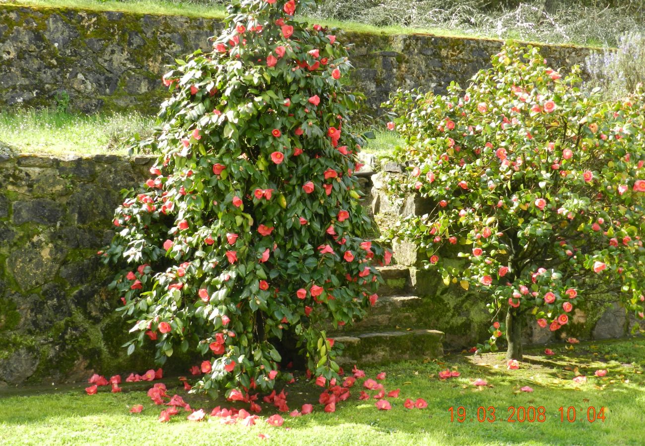 House in Capannori - Villa Parole d´Oro