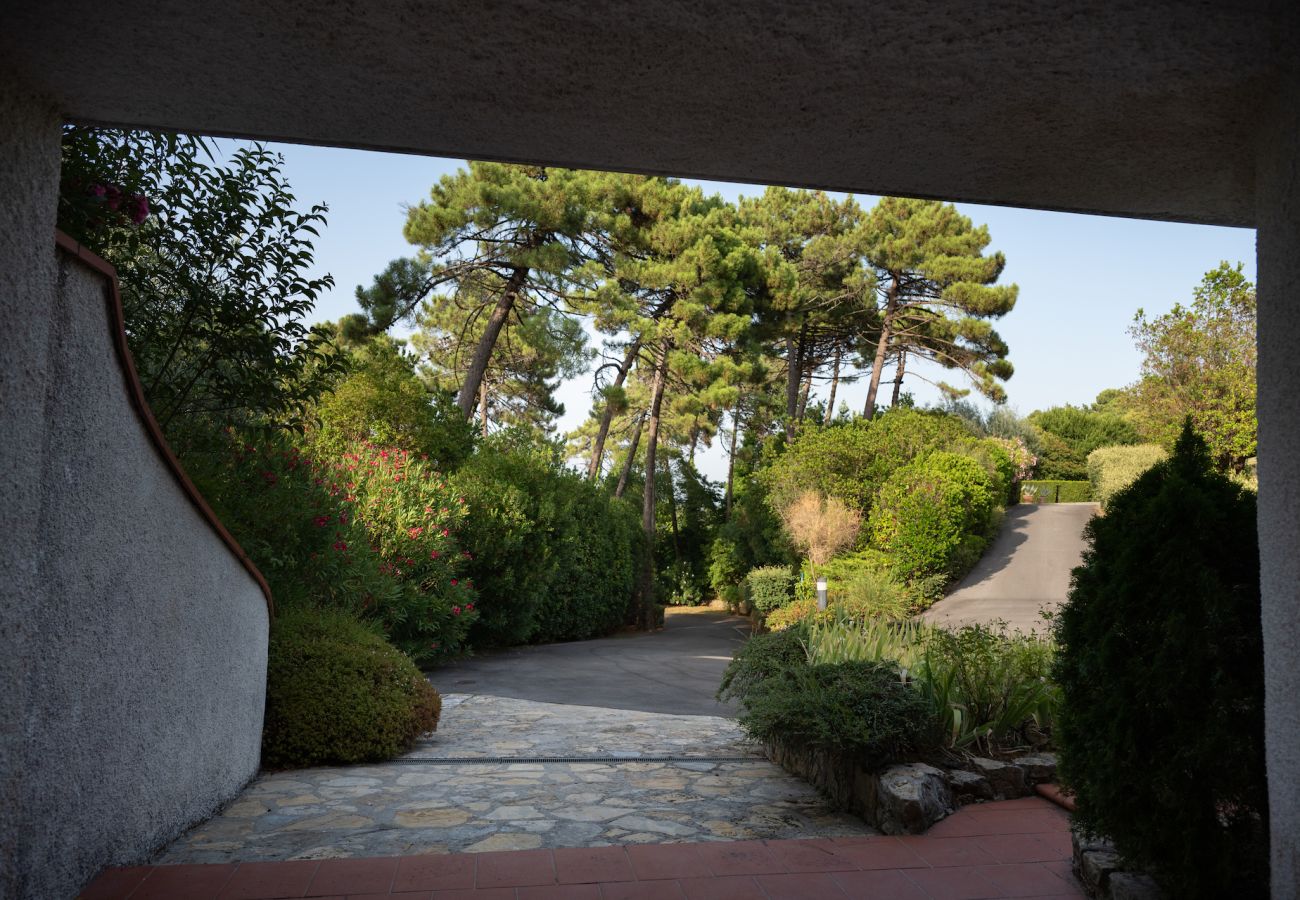 House in Capannori - Villa Parole d´Oro