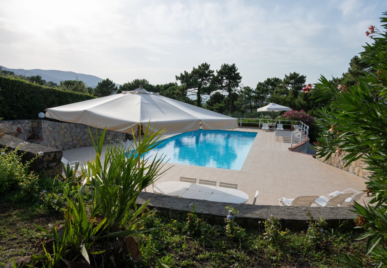 House in Capannori - Villa Parole d´Oro