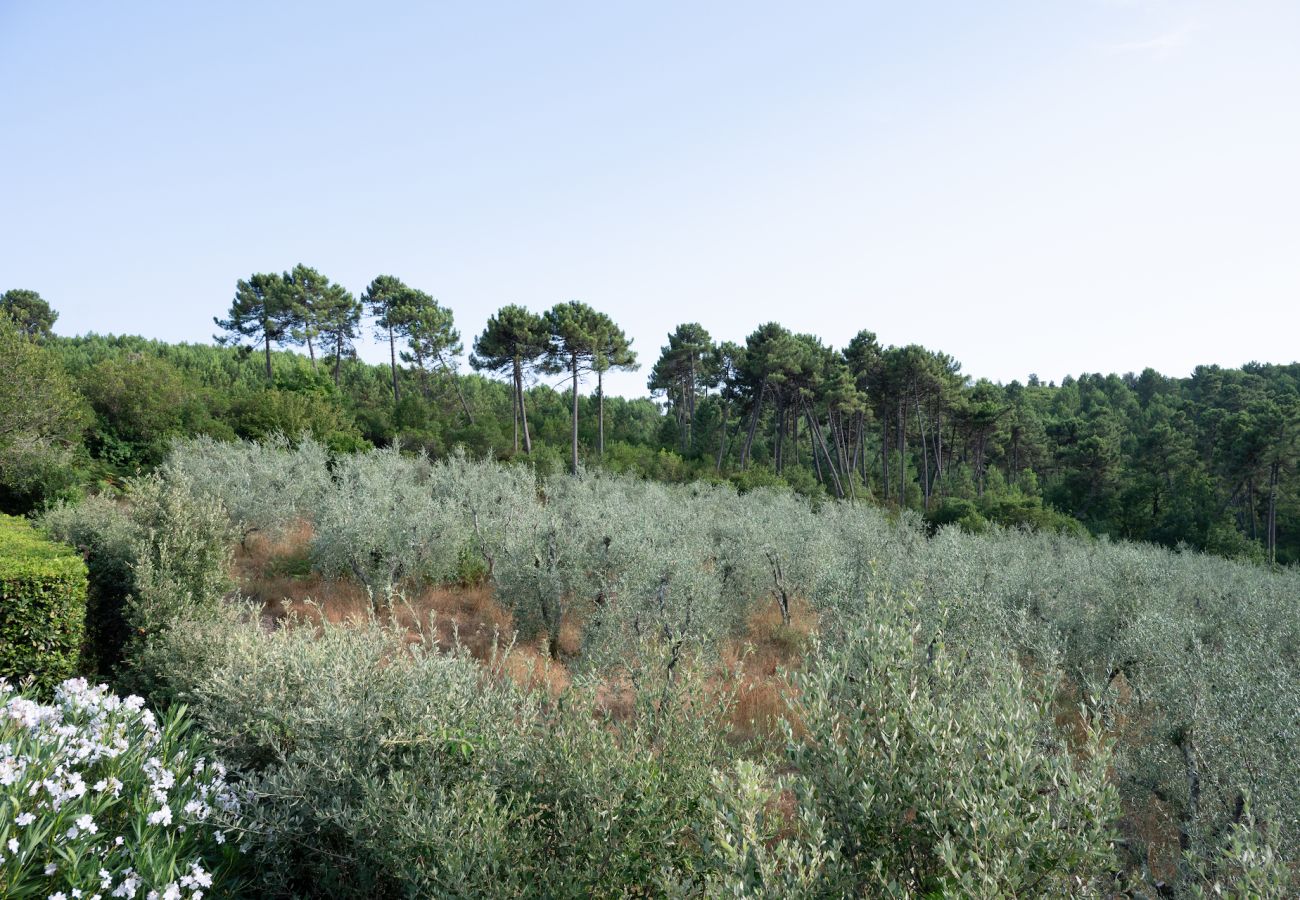 House in Capannori - Villa Parole d´Oro