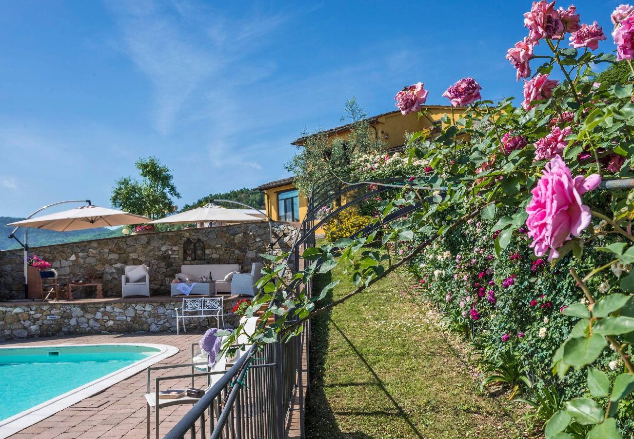 House in Serravalle Pistoiese - Villa Il Gallo