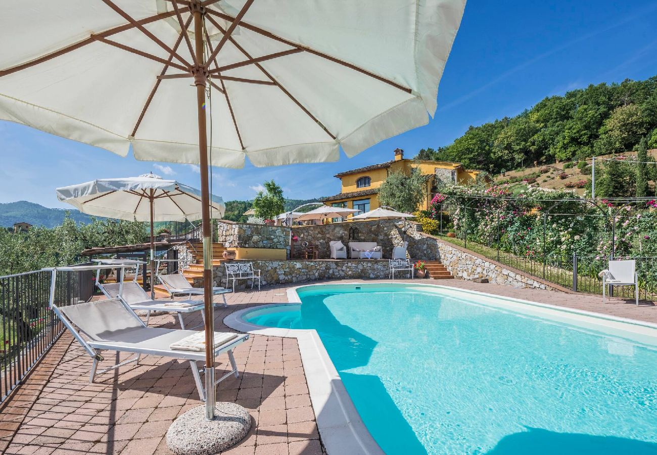 House in Serravalle Pistoiese - Villa Il Gallo