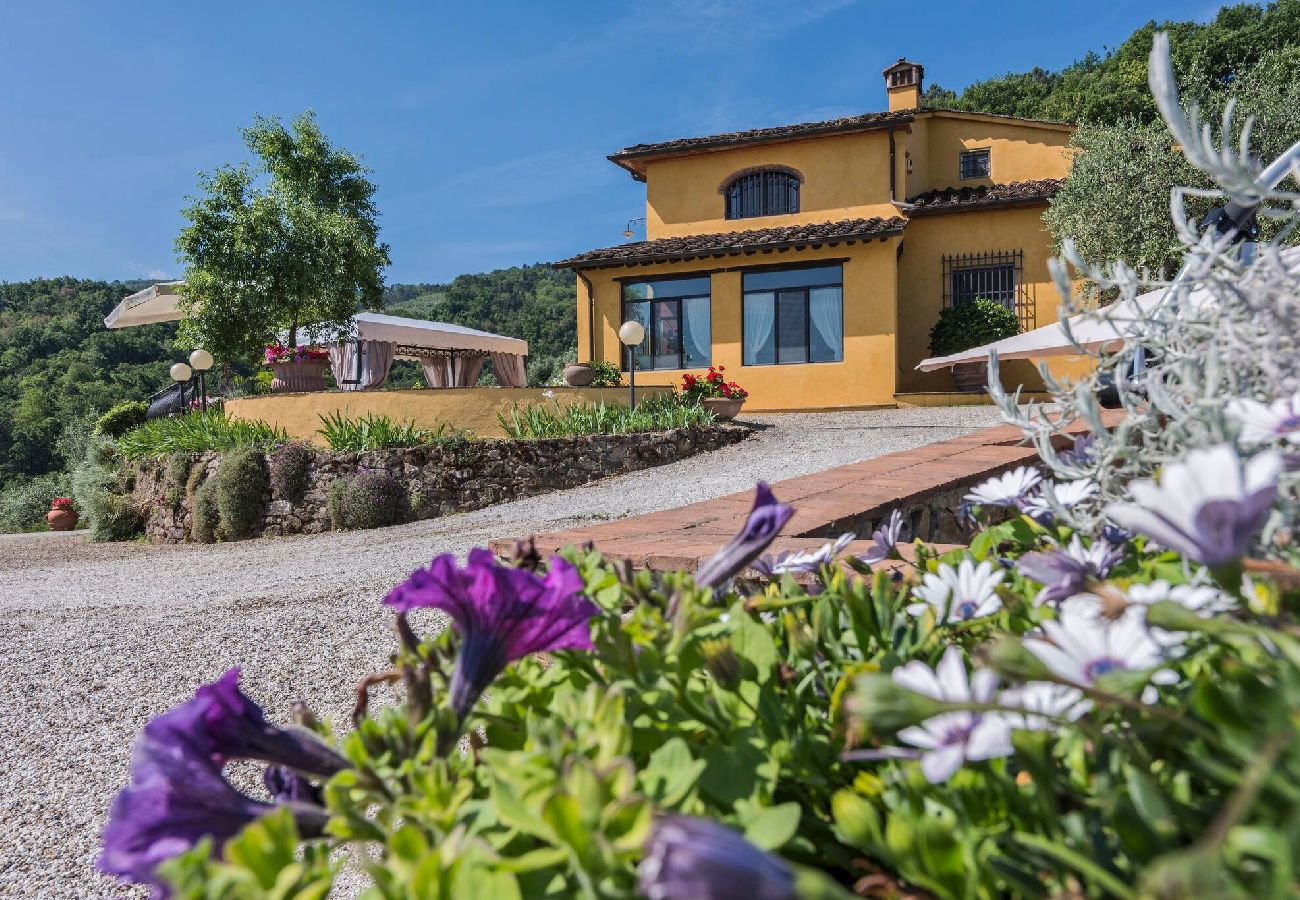 House in Serravalle Pistoiese - Villa Il Gallo