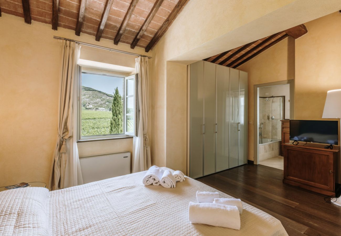 House in Castelnuovo Berardenga - Villa Sestina