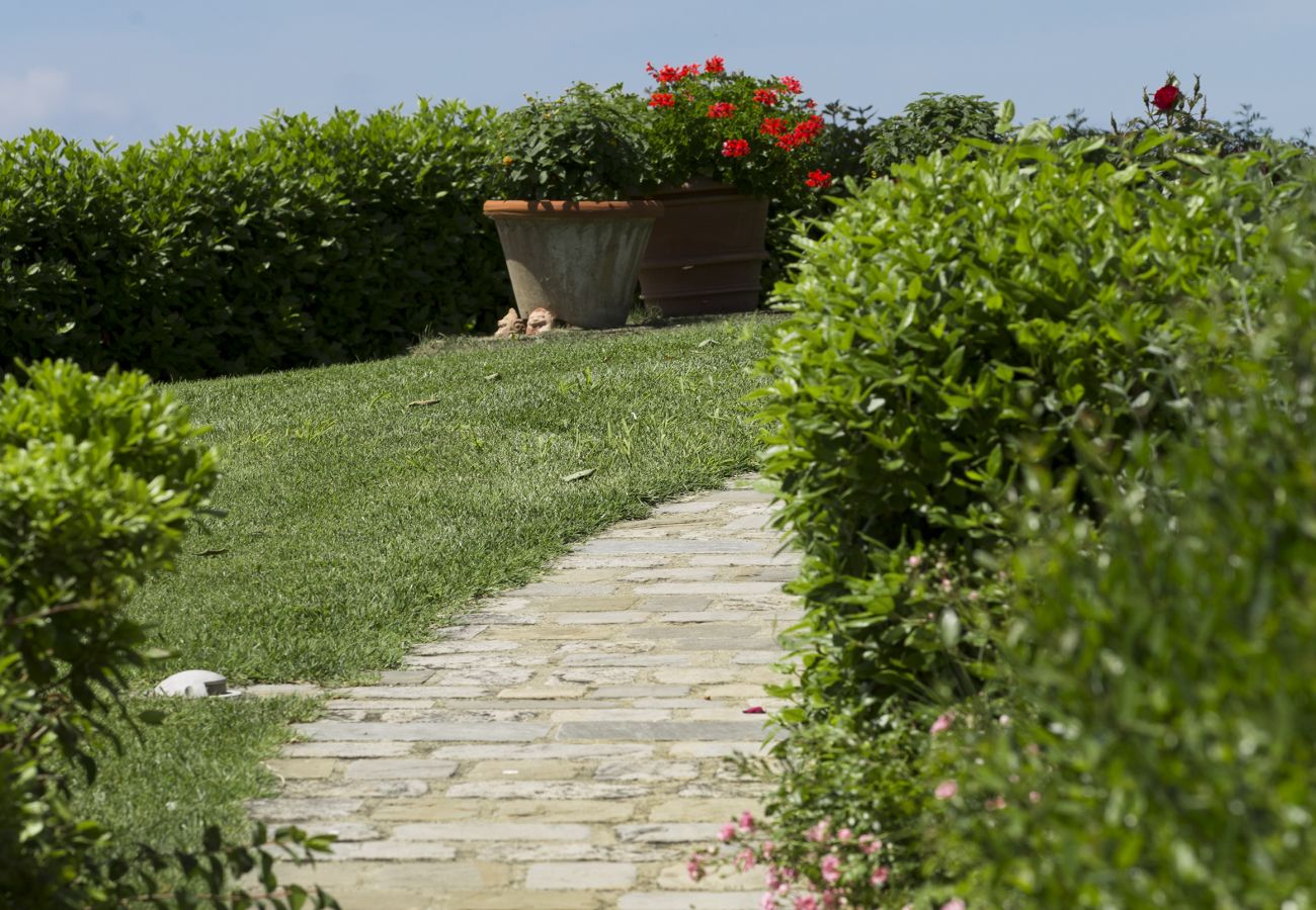 Villa in Tavarnelle Val di Pesa - Villa Tavernella with pool and spa