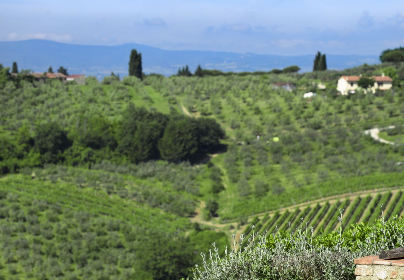 Villa in Tavarnelle Val di Pesa - Villa Tavernella with pool and spa