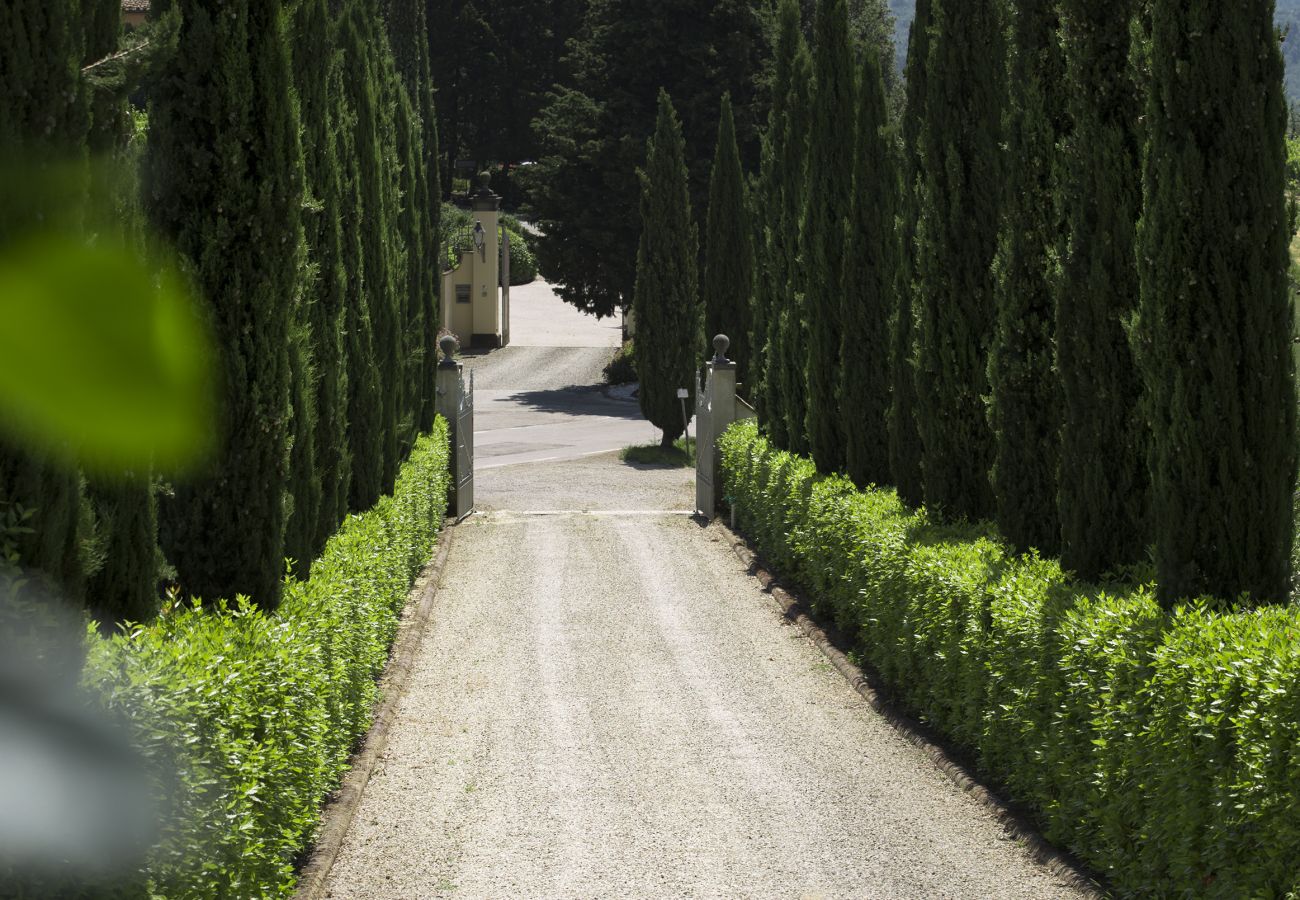 Villa in Tavarnelle Val di Pesa - Villa Tavernella with pool and spa