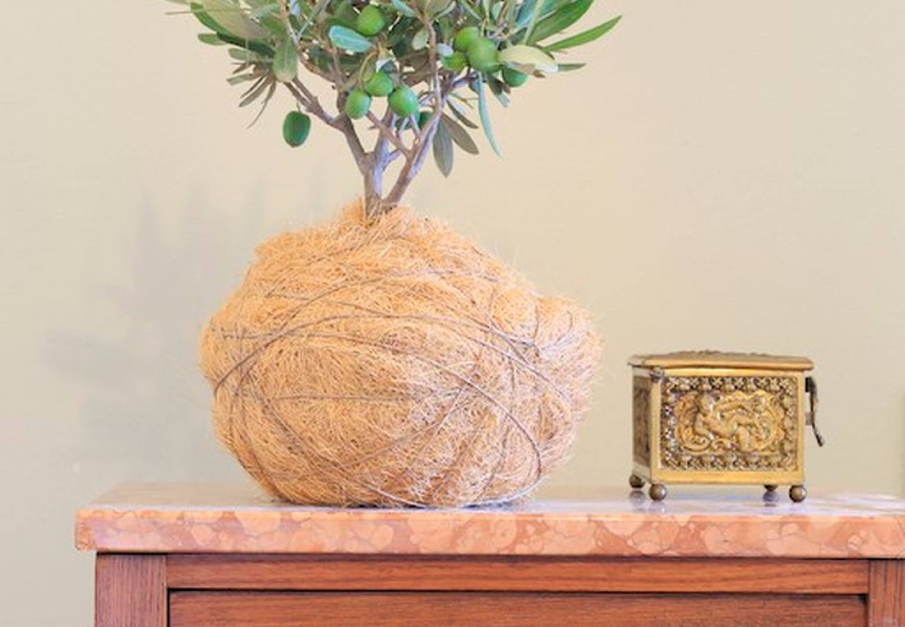 Villa in Panzano - Amazing place in Chianti  immersed in nature.