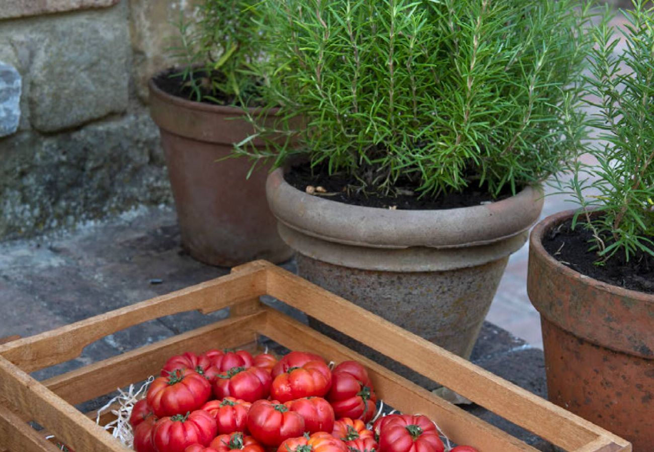 Villa in Panzano - Amazing place in Chianti  immersed in nature.