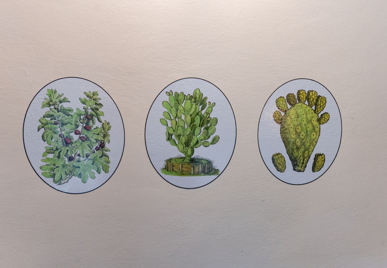 Villa in Panzano - Amazing place in Chianti  immersed in nature.