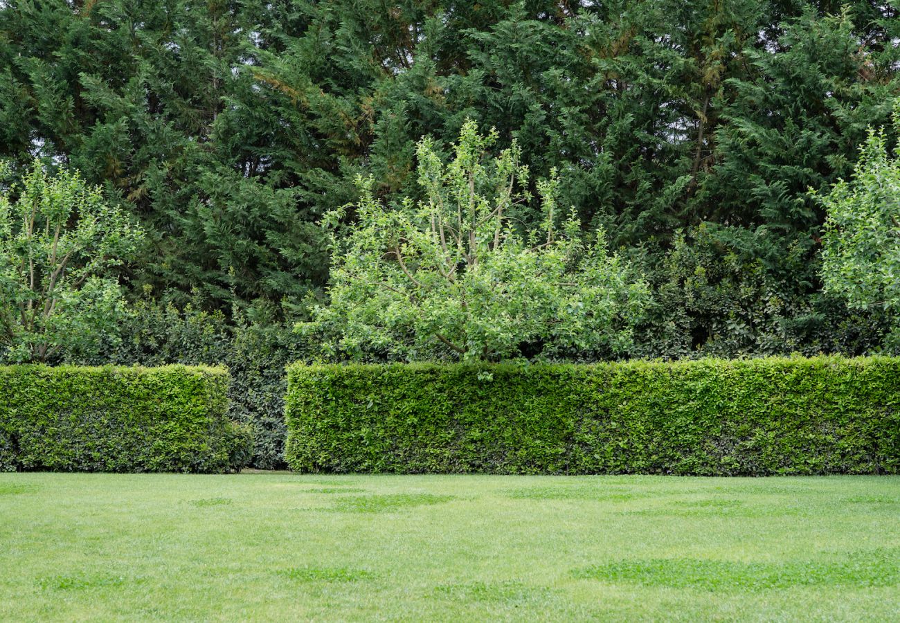 Villa in Panzano - Amazing place in Chianti  immersed in nature.