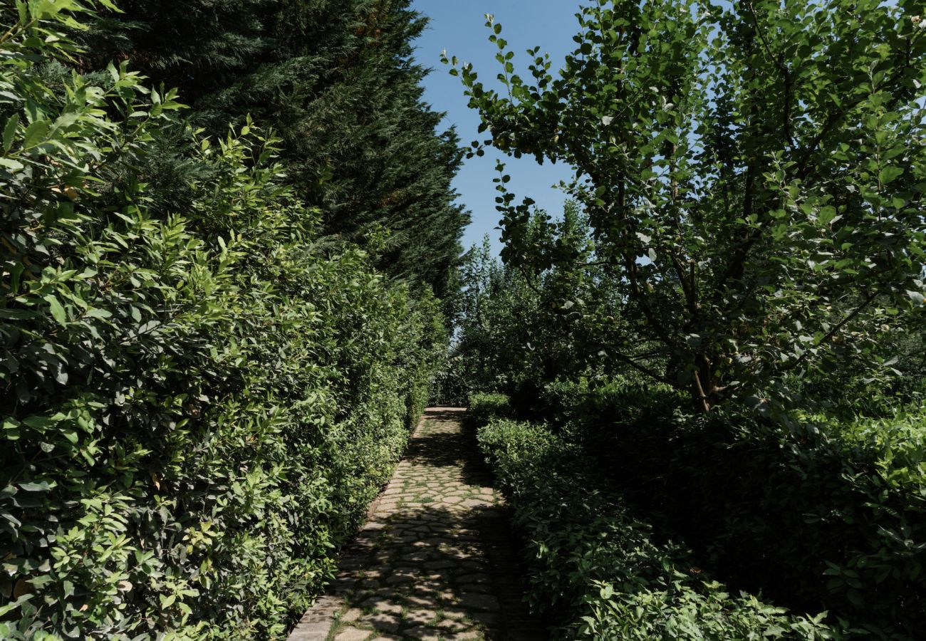 Villa in Panzano - Amazing place in Chianti  immersed in nature.