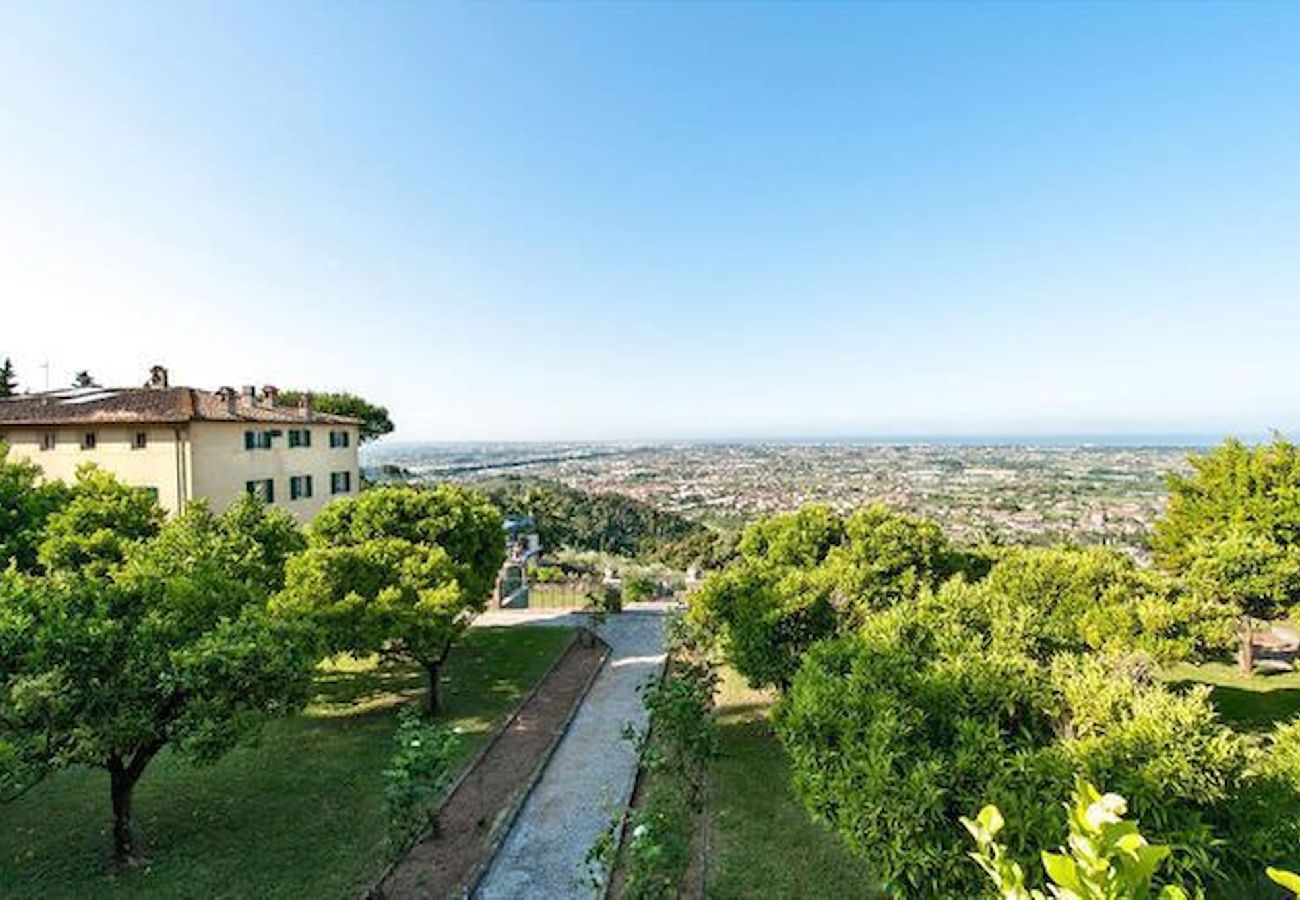 Villa in Camaiore - Luxury Villa close to the sea of Forte dei Marmi