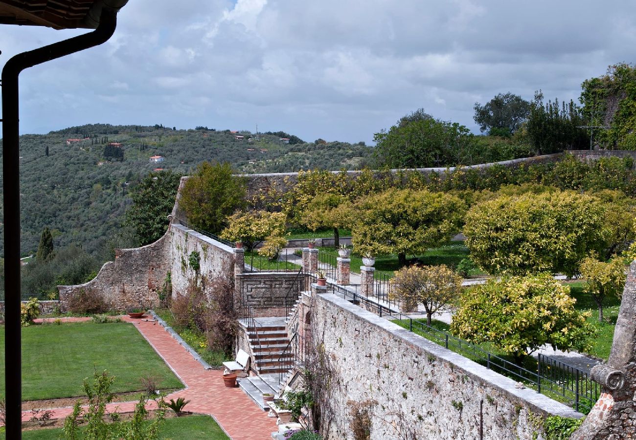 Villa in Camaiore - Luxury Villa close to the sea of Forte dei Marmi