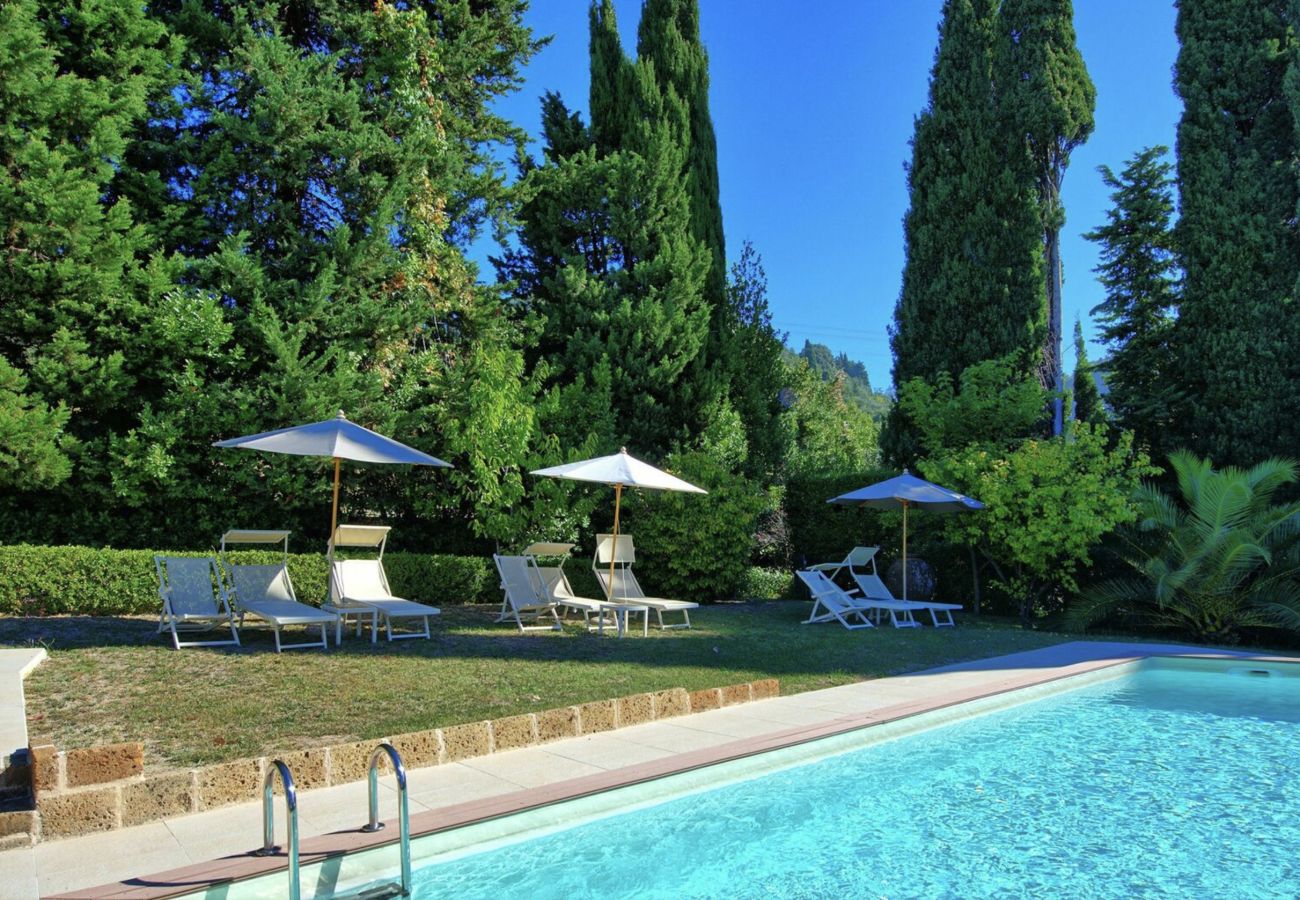 Villa in Camaiore - Luxury Villa close to the sea of Forte dei Marmi