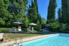 Villa in Camaiore - Luxury Villa close to the sea of Forte dei Marmi
