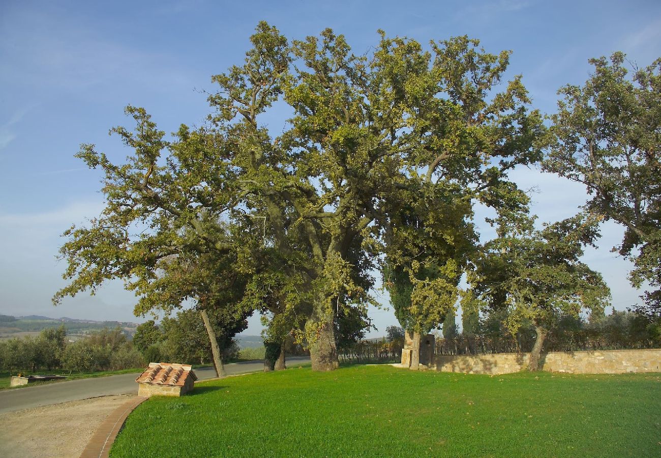 Villa in Monticchiello - Villa Fontana