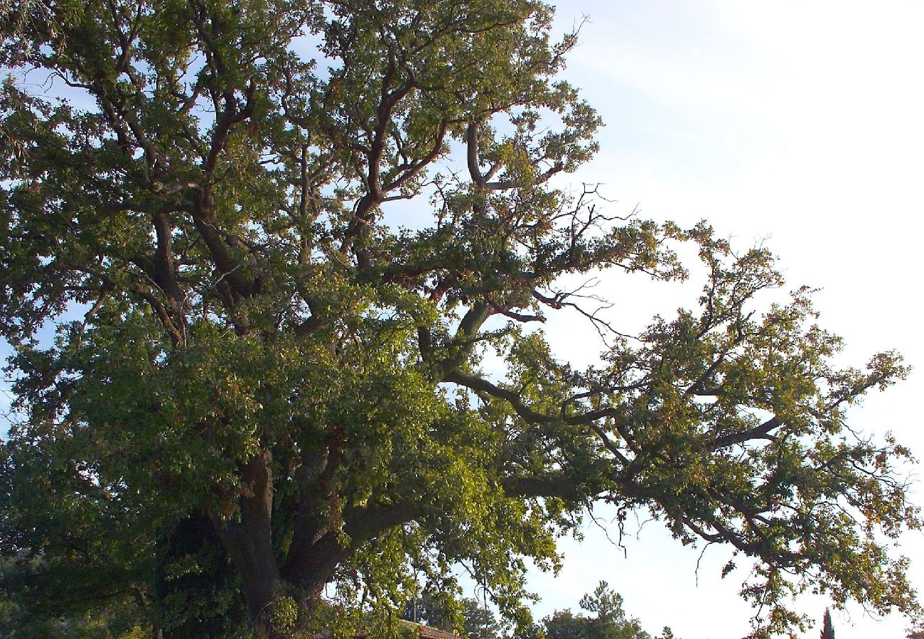 Villa in Monticchiello - Villa Fontana