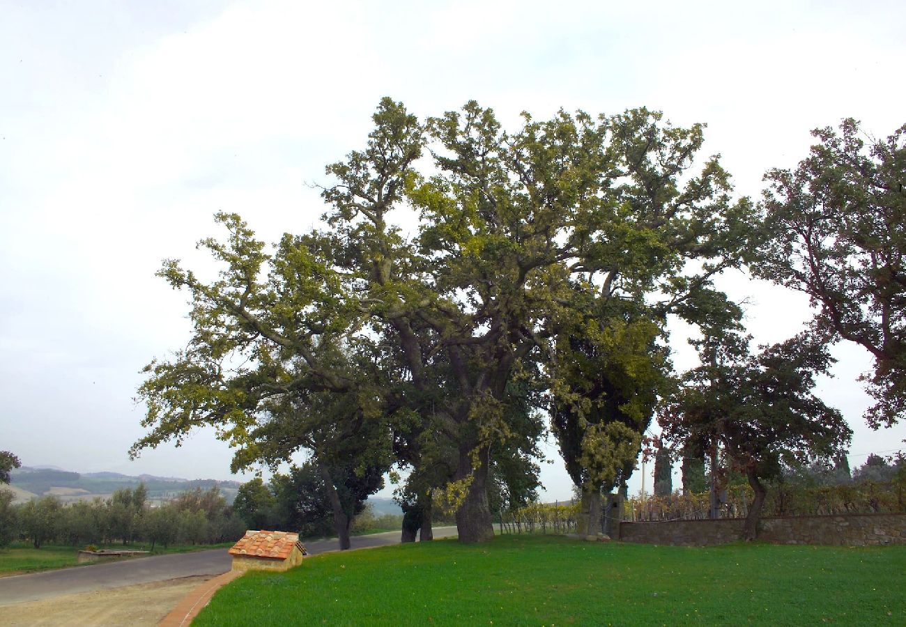 Villa in Monticchiello - Villa Fontana