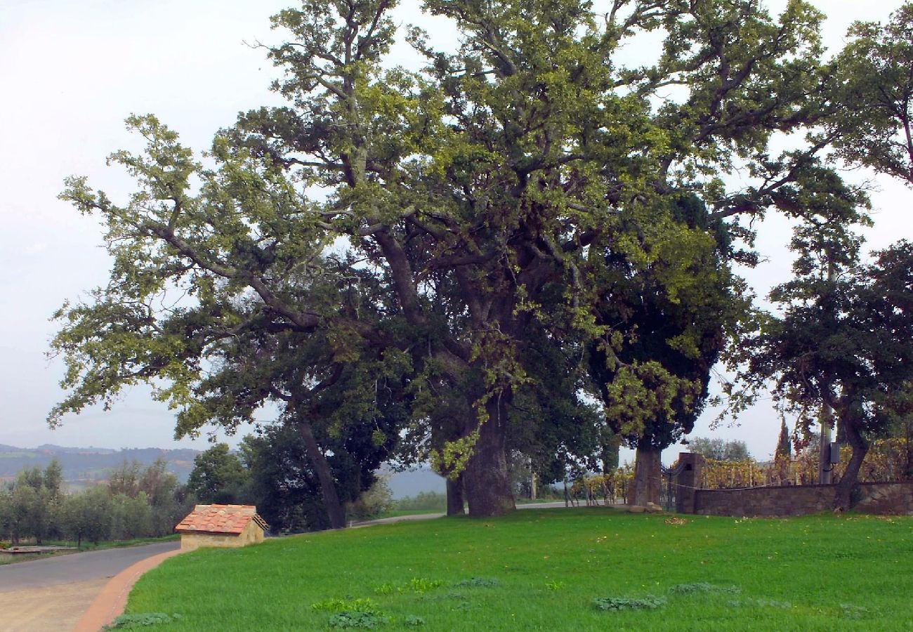 Villa in Monticchiello - Villa Fontana