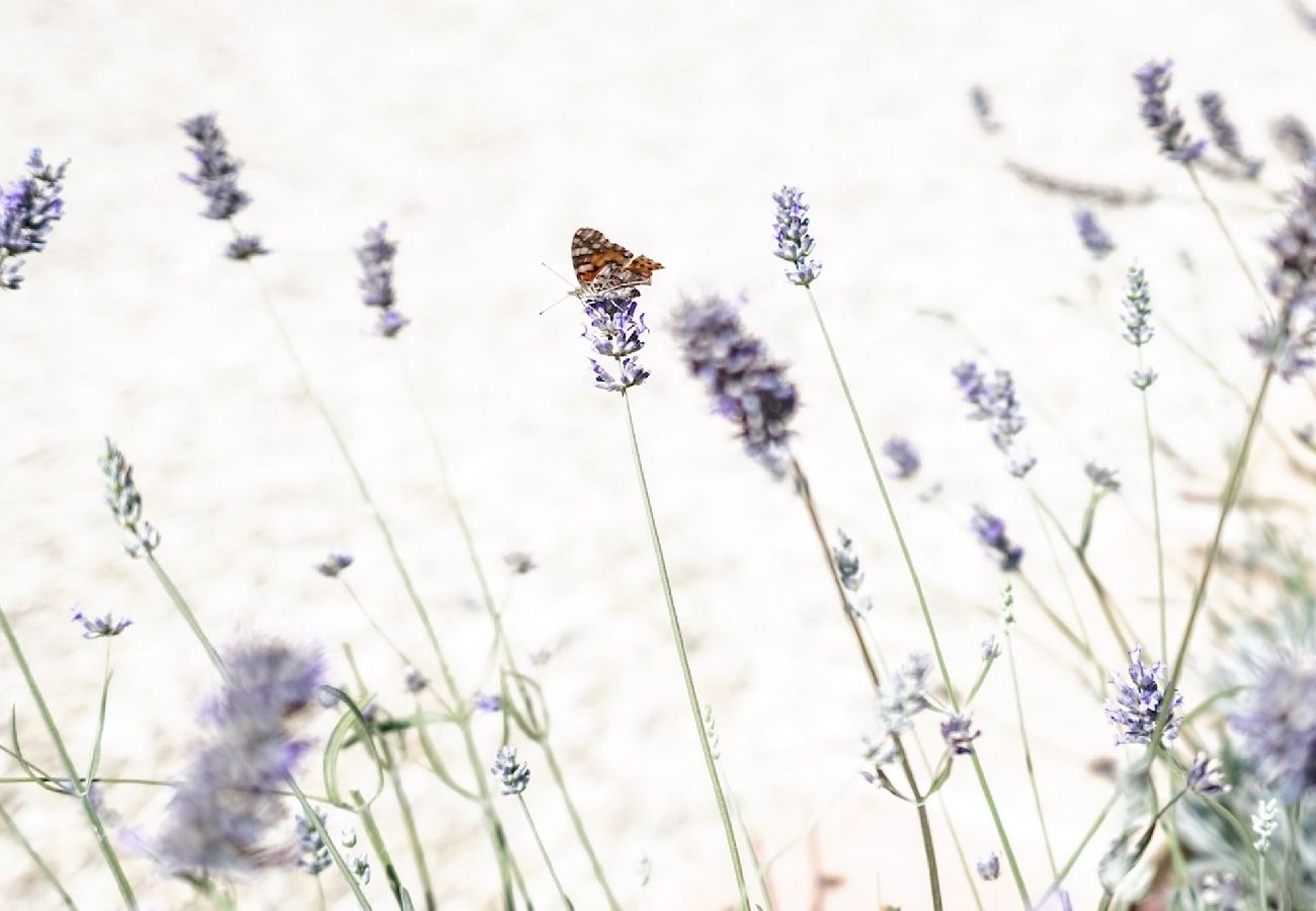 Villa in Reggello - Villa Ruota with views on the Tuscan countryside