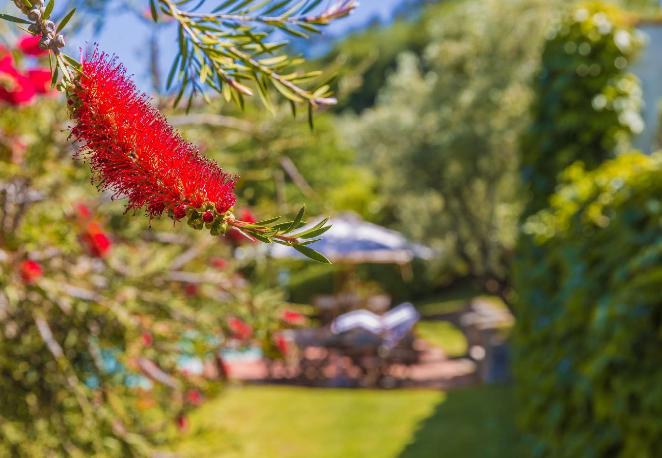 House in Monsummano Terme - Luxury Tuscan villa with exclusive pool