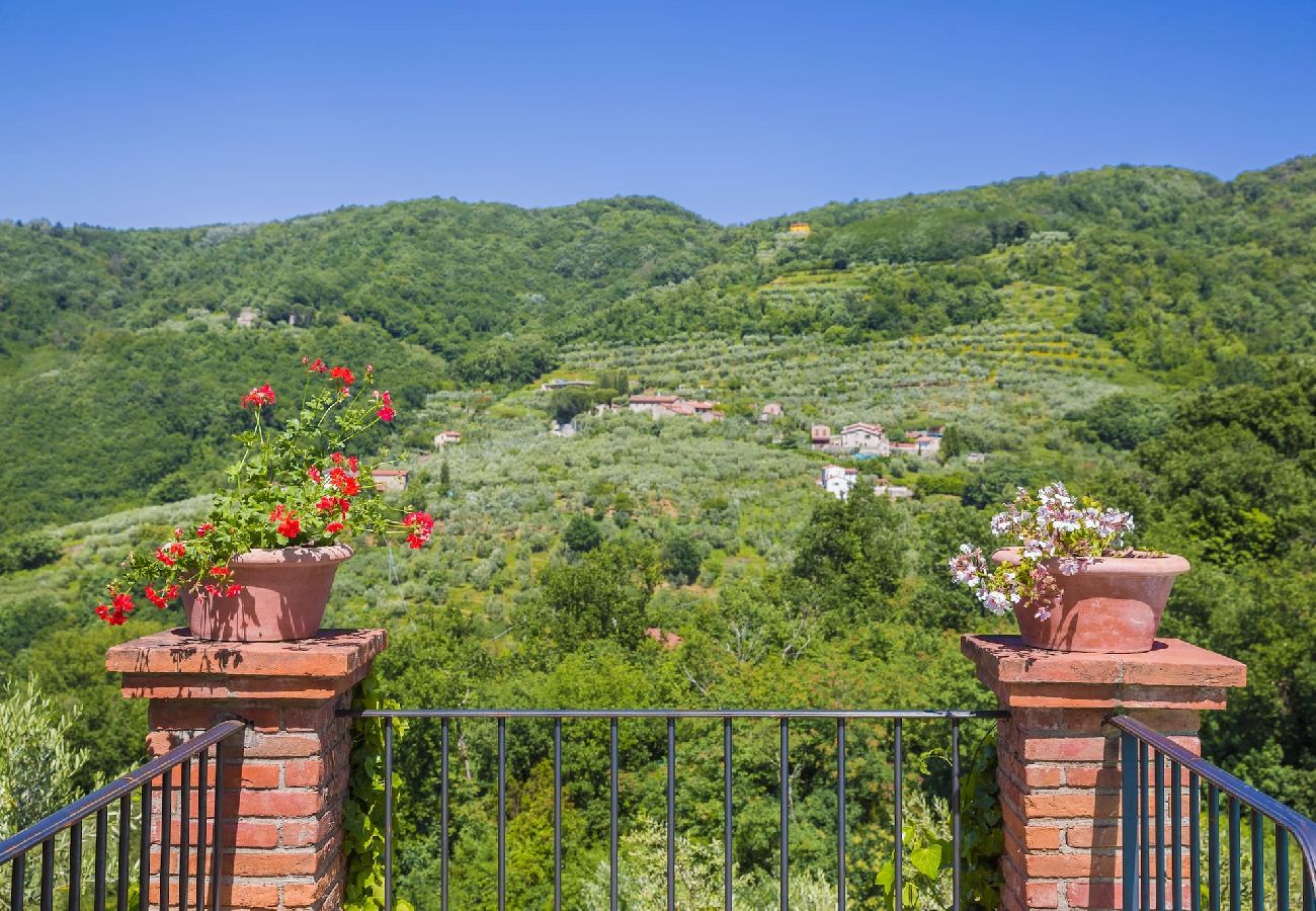 House in Monsummano Terme - Luxury Tuscan villa with exclusive pool