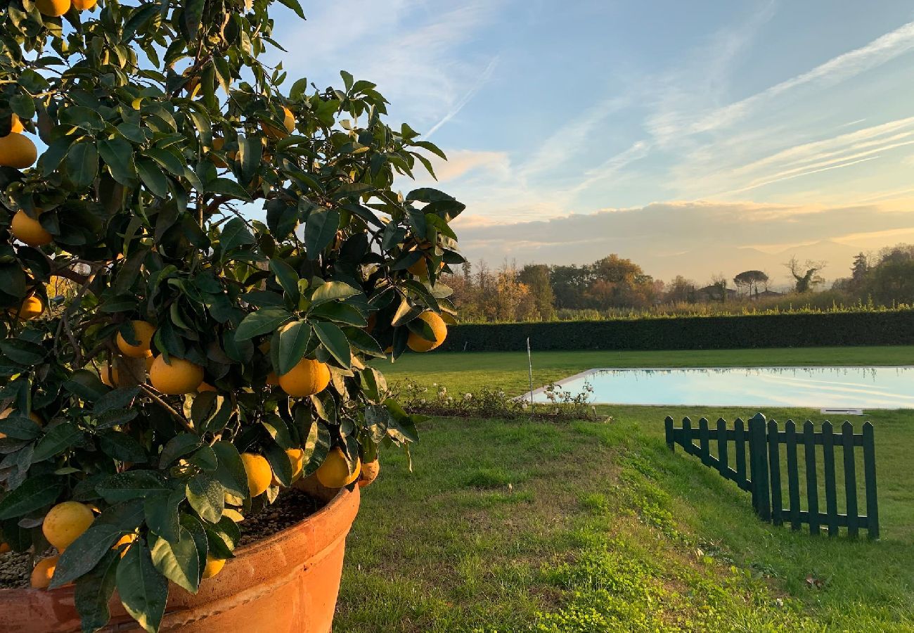 Villa in Lucca - Stunning Luxury Villa with pool