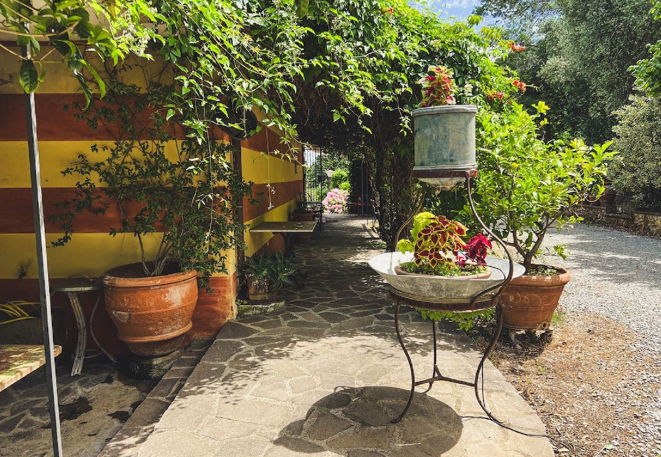 House in Lucca - VILLA DELL´ORTENSIA