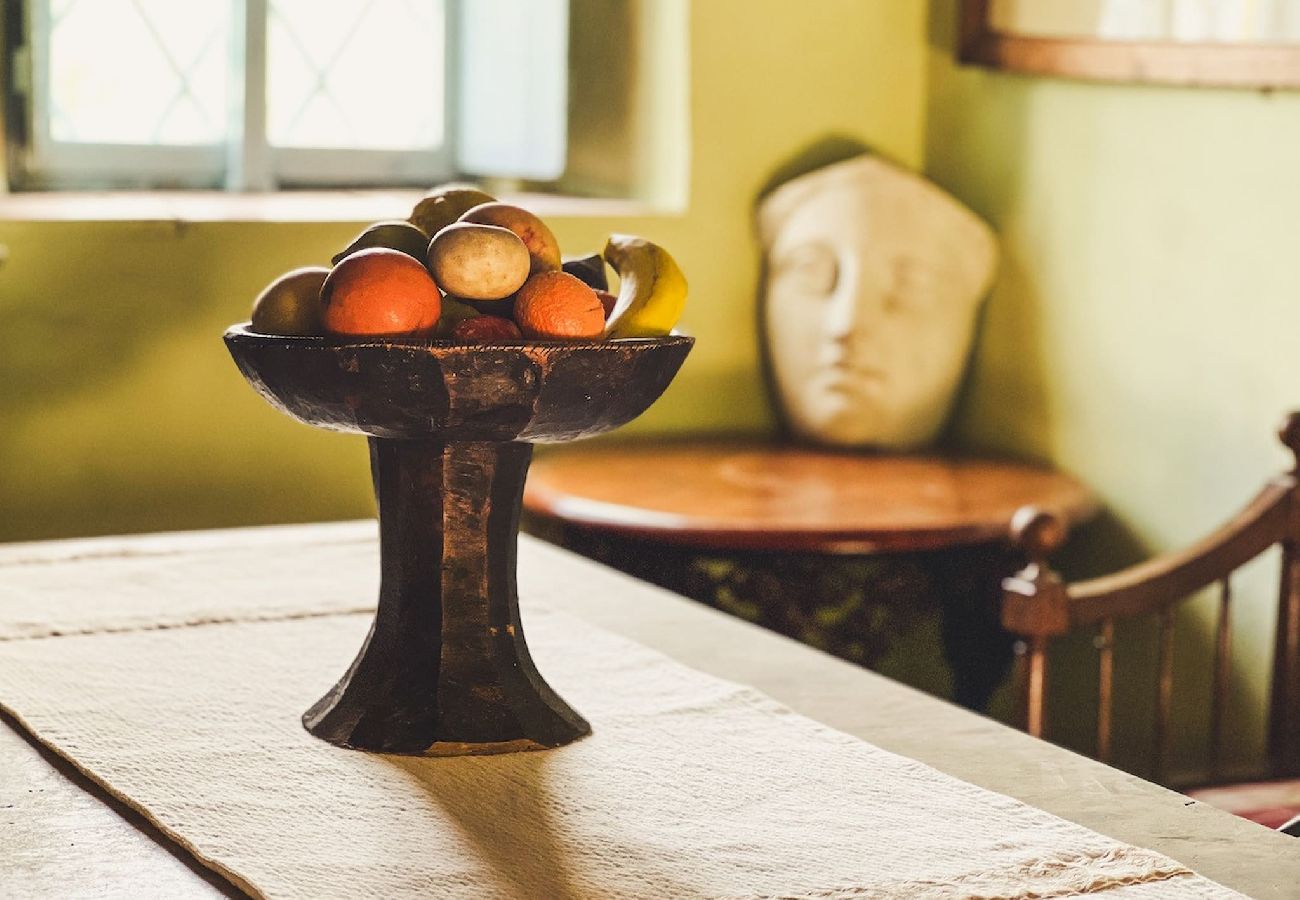 House in Lucca - VILLA DELL´ORTENSIA