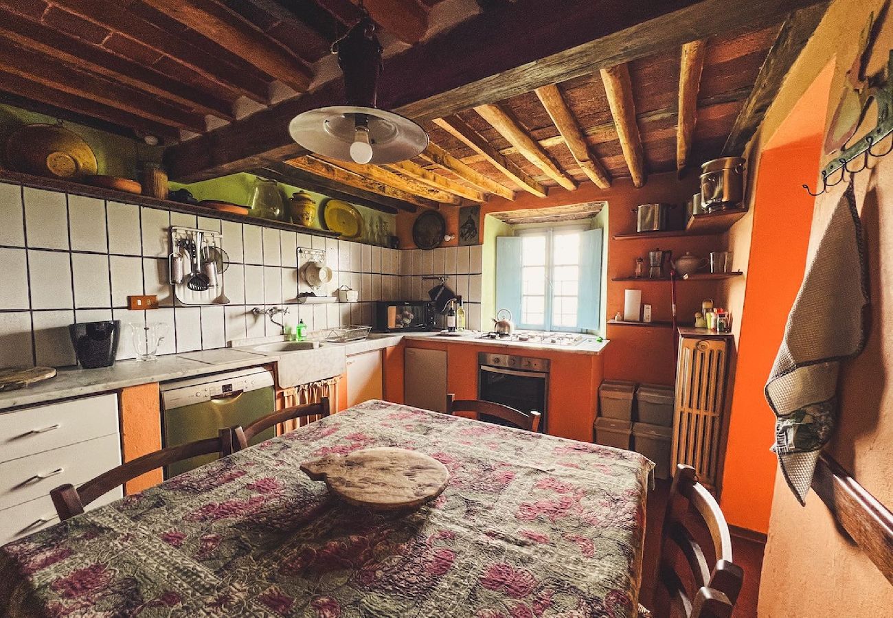 House in Lucca - VILLA DELL´ORTENSIA