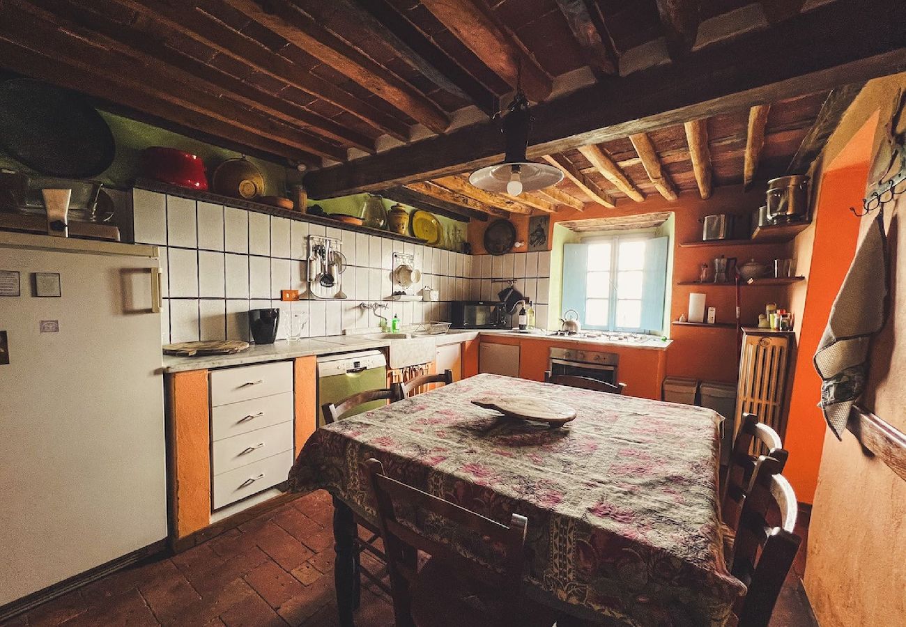 House in Lucca - VILLA DELL´ORTENSIA