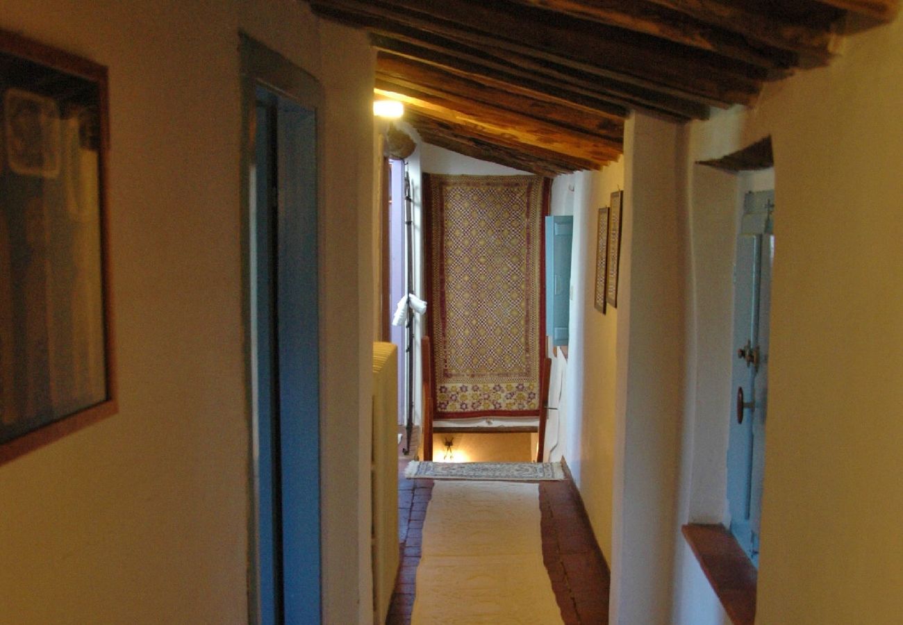 House in Lucca - VILLA DELL´ORTENSIA