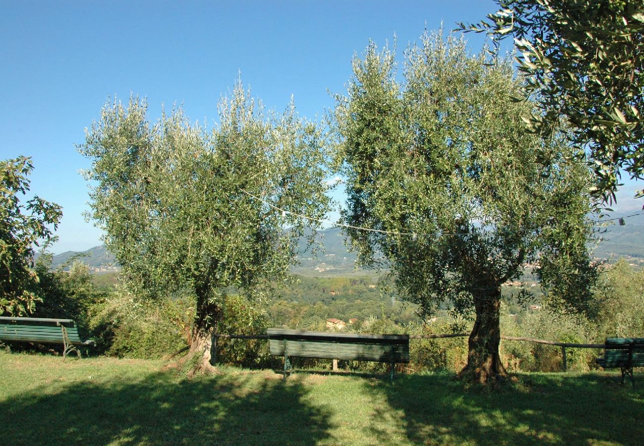 House in Lucca - VILLA DELL´ORTENSIA