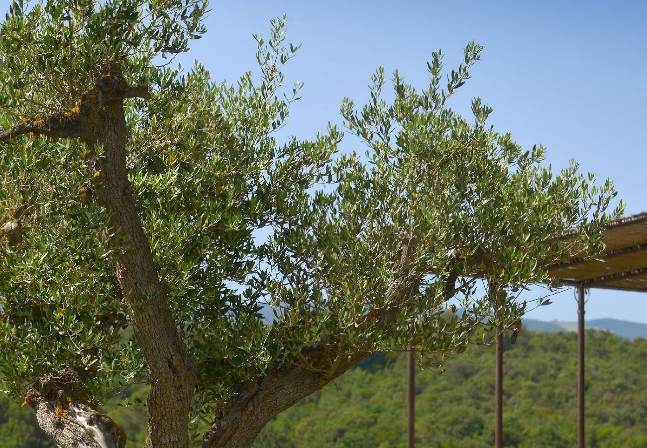 Villa in Bibbona - Villa La Guardiana promoted by WeekHomes com