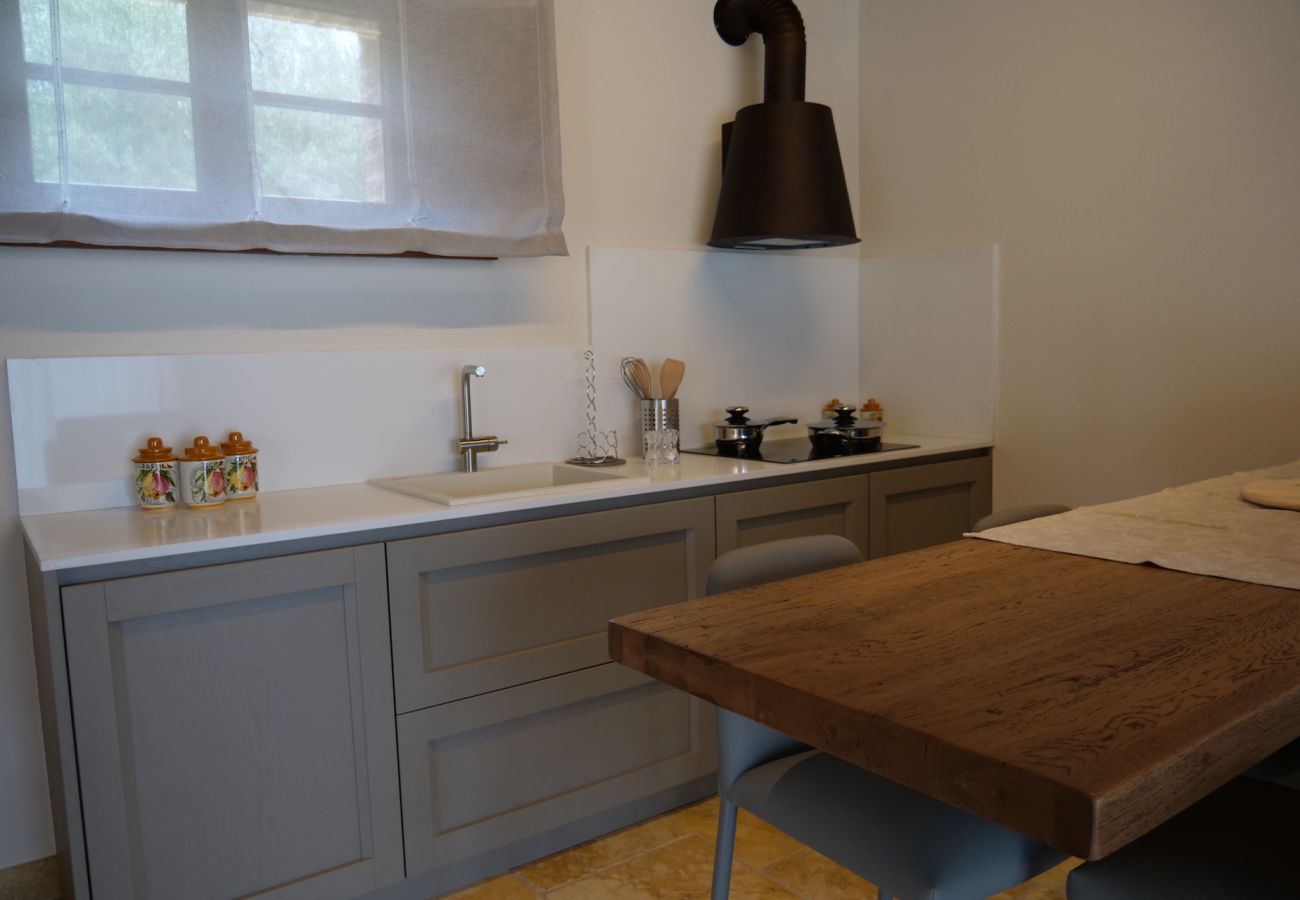 Villa in Foiano della Chiana - Villa Fonte