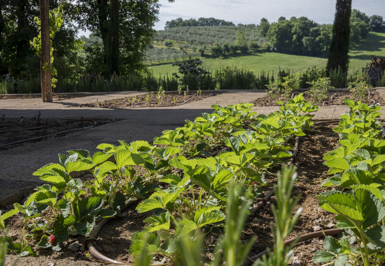 Villa in Foiano della Chiana - Villa Fonte