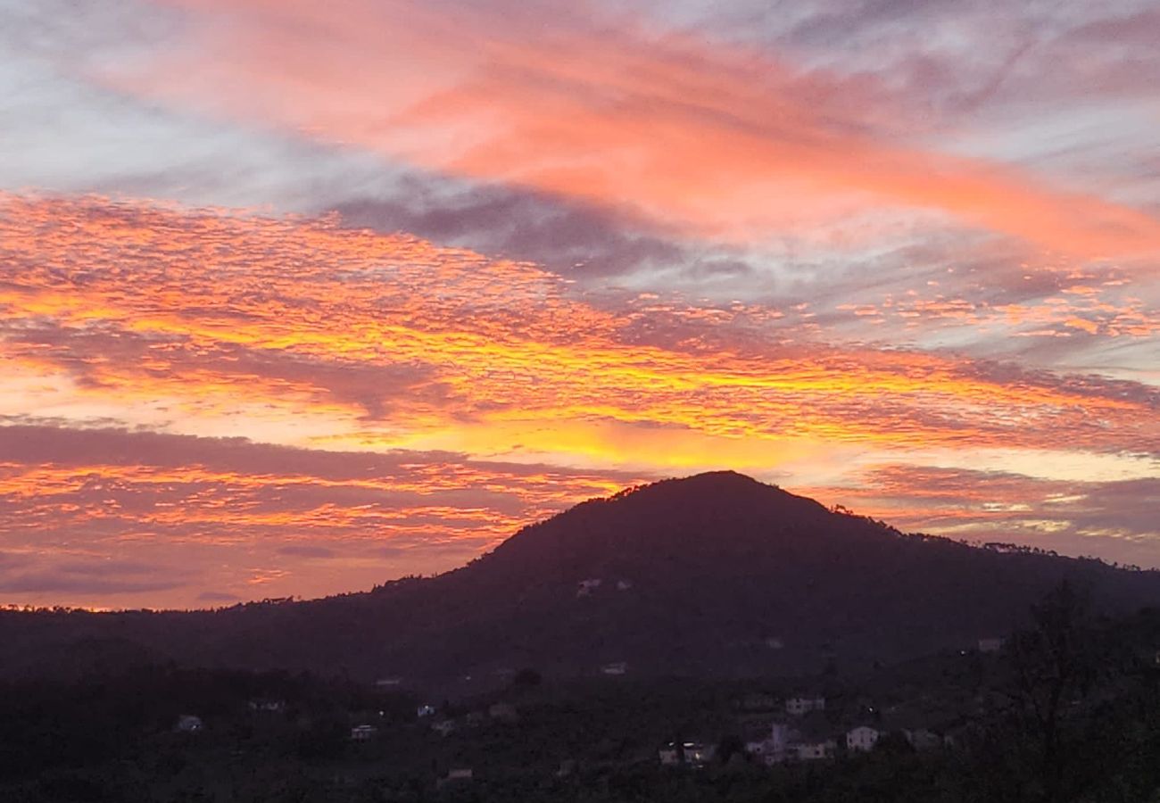 Villa in San Concordio di Moriano - Villa Moriano