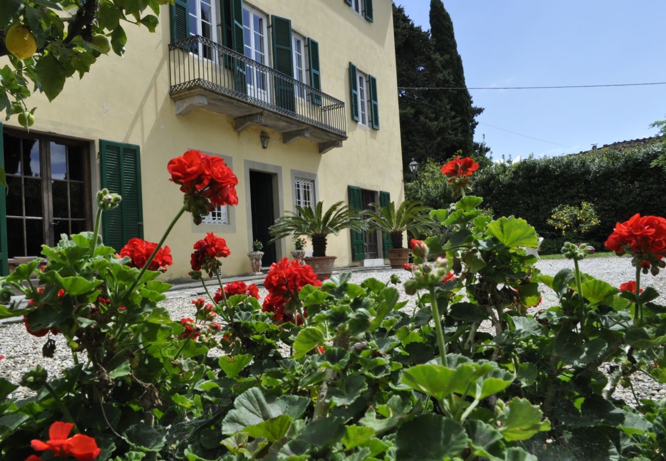 Villa in San Concordio di Moriano - Villa Moriano