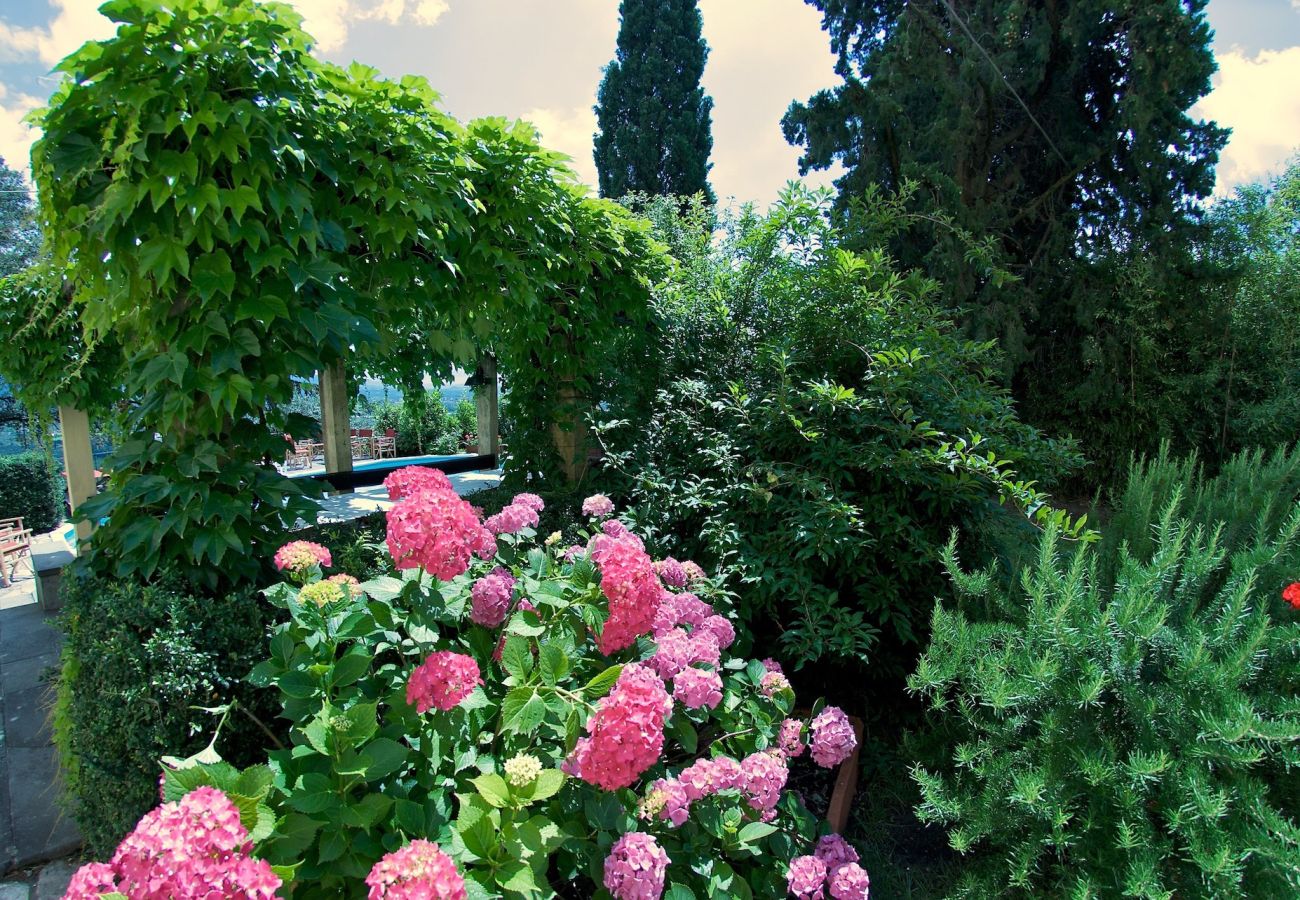 Villa in San Concordio di Moriano - Villa Moriano