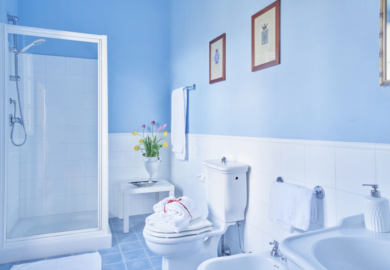 Villa in San Concordio di Moriano - Villa Moriano