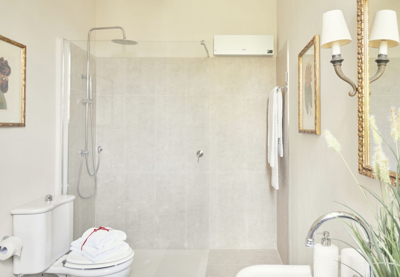 Villa in San Concordio di Moriano - Villa Moriano