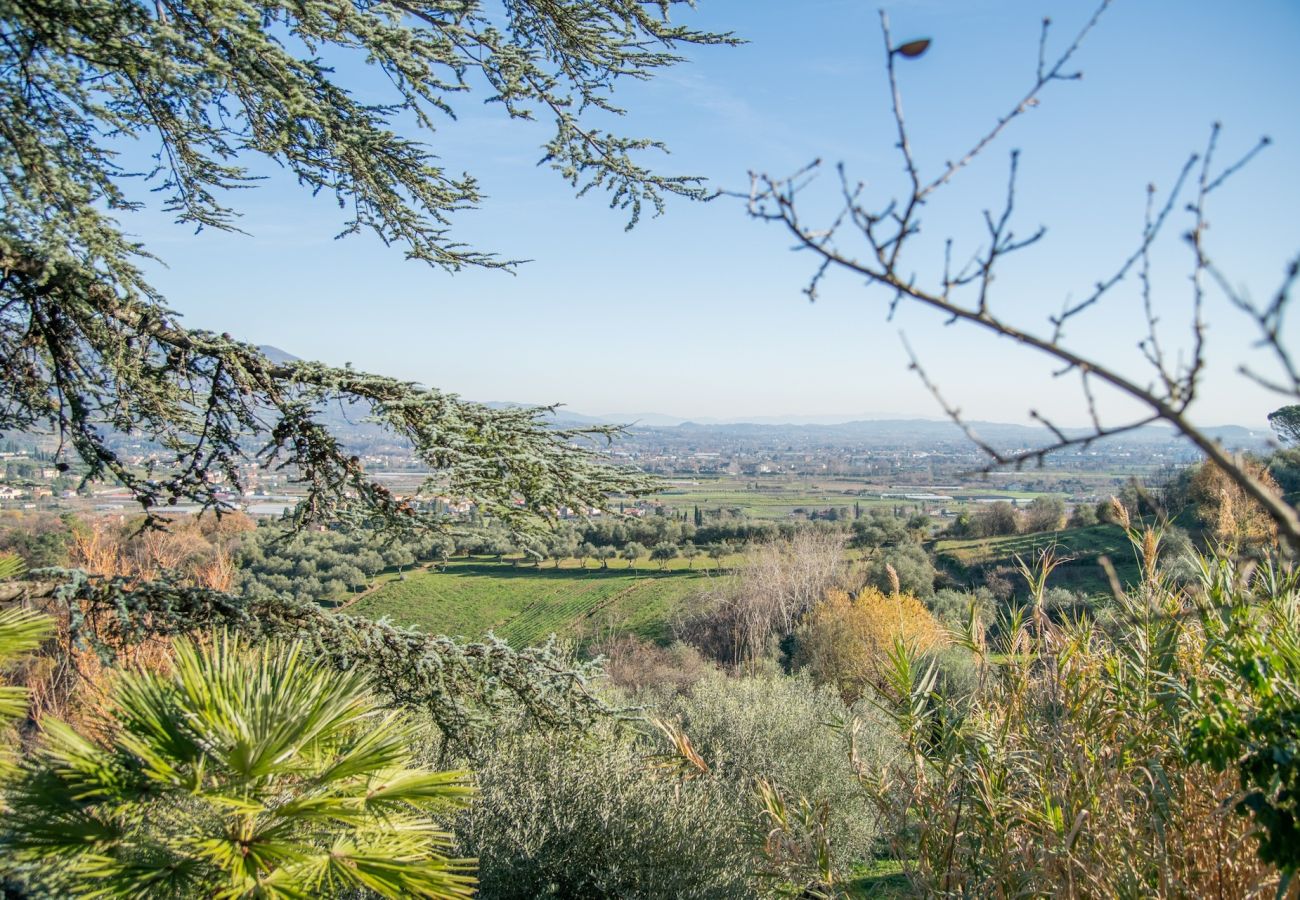 Villa in San Concordio di Moriano - Villa Moriano