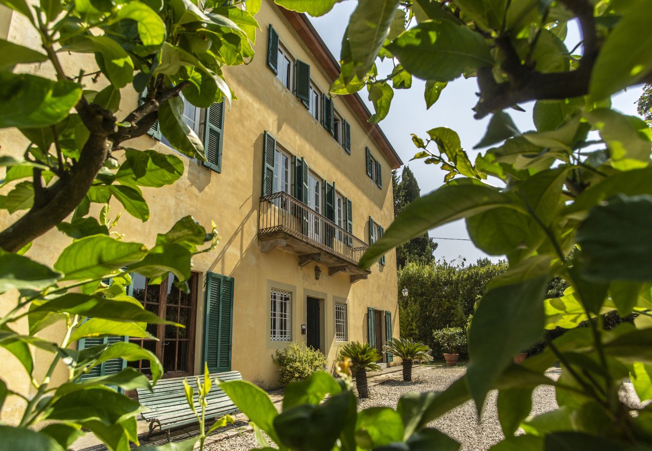 Villa in San Concordio di Moriano - Villa Moriano