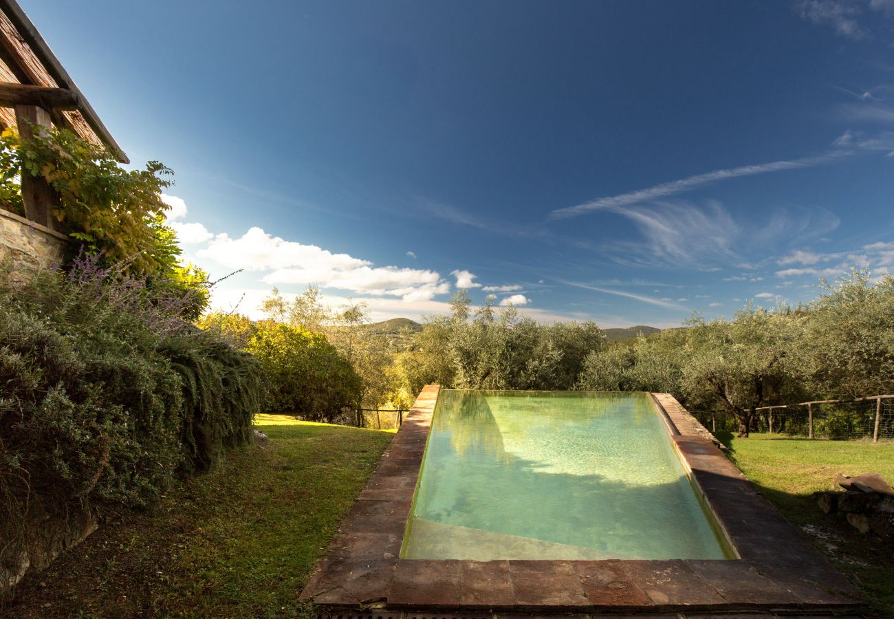 Villa in Greve in Chianti - villa Volpina